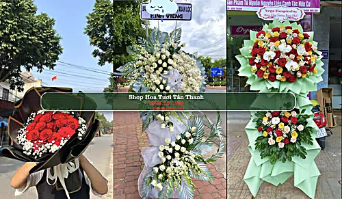 Shop Hoa Tươi Tân Thanh - Huyện Thanh Liêm (Cũ)