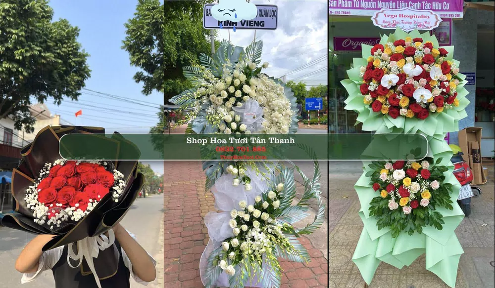 Shop Hoa Tươi Tân Thanh - Huyện Thanh Liêm (Cũ)