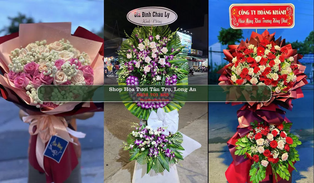Shop Hoa Tươi Tân Trụ - Huyện Tân Trụ (Cũ)