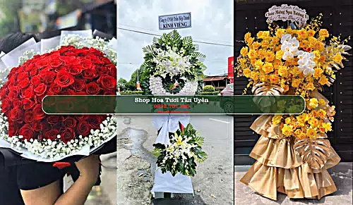 Shop Hoa Tươi Tân Uyên - Bình Dương (Cũ)