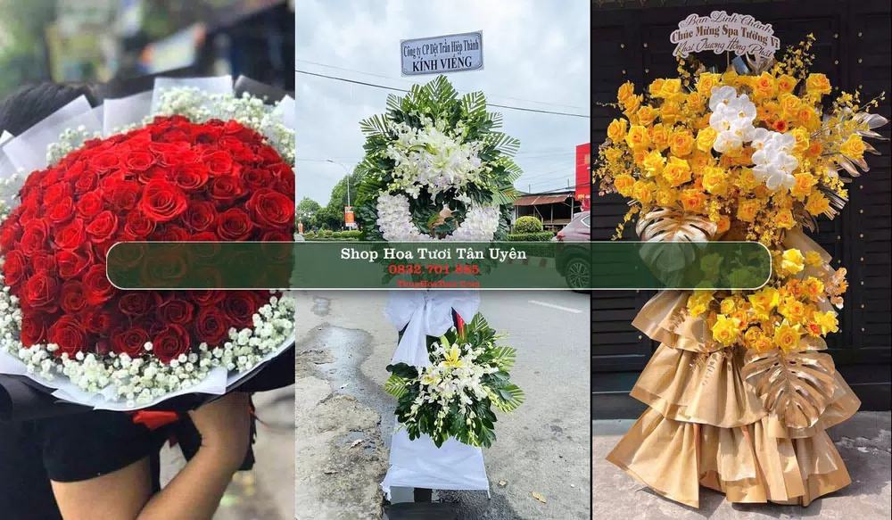 Shop Hoa Tươi Tân Uyên - Bình Dương (Cũ)
