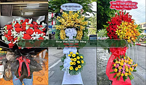 Shop Hoa Tươi Tây Đằng - Huyện Ba Vì (Cũ)