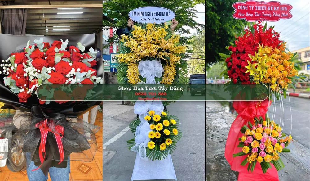 Shop Hoa Tươi Tây Đằng - Huyện Ba Vì (Cũ)