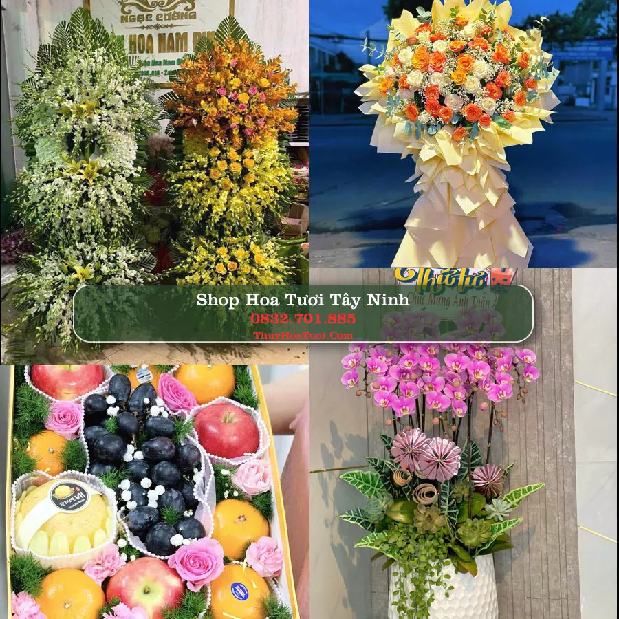 Shop Hoa Tươi Tây Ninh - Đặt Hoa Tươi Giao Tận Nơi
