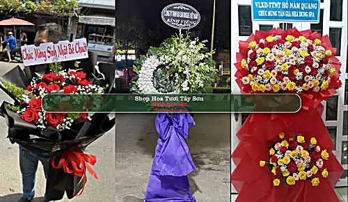 Shop Hoa Tươi Tây Sơn - Huyện Hương Sơn (Cũ)