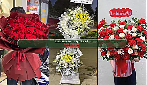 Shop Hoa Tươi Tây Yên Tử - Huyện Sơn Động (Cũ)
