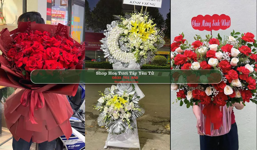 Shop Hoa Tươi Tây Yên Tử - Huyện Sơn Động (Cũ)
