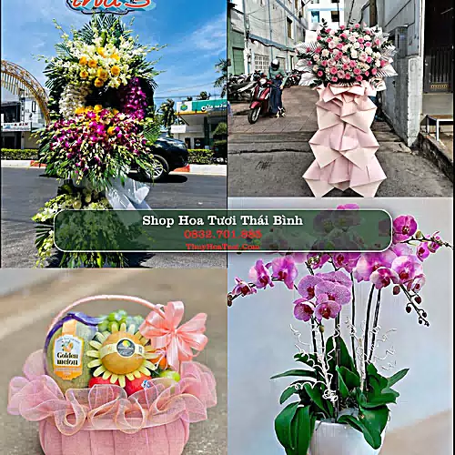 Shop Hoa Tươi Thái Bình - Hoa Đẹp Cho Mọi Dịp