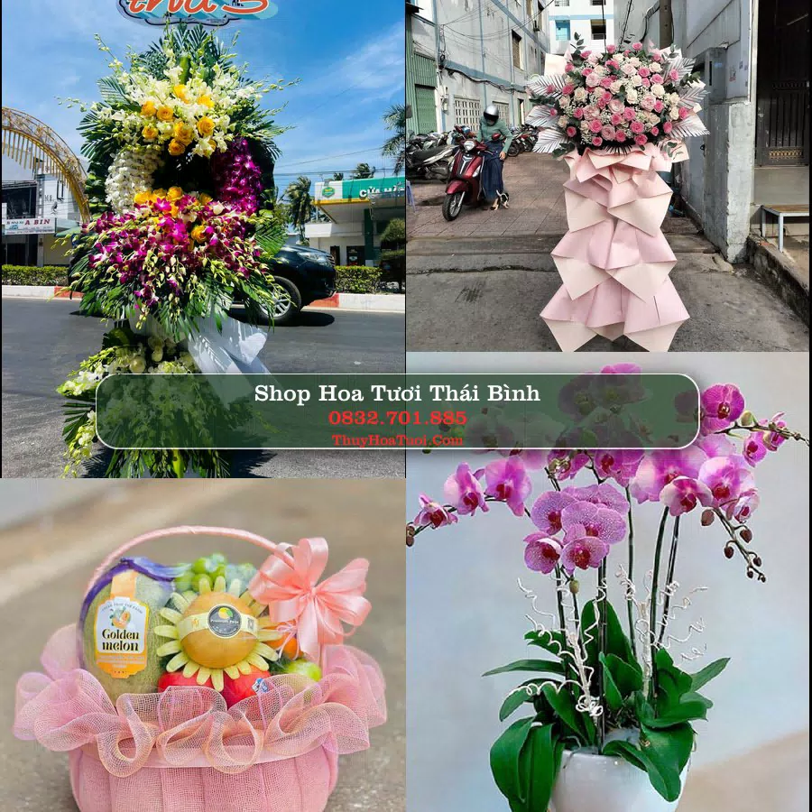 Shop Hoa Tươi Thái Bình - Hoa Đẹp Cho Mọi Dịp