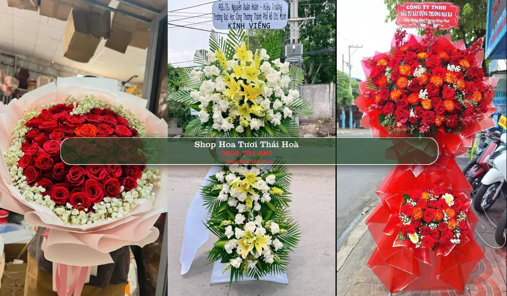 Shop Hoa Tươi Thái Hoà - Nghệ An (Cũ)