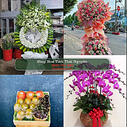 Shop Hoa Tươi Thái Nguyên