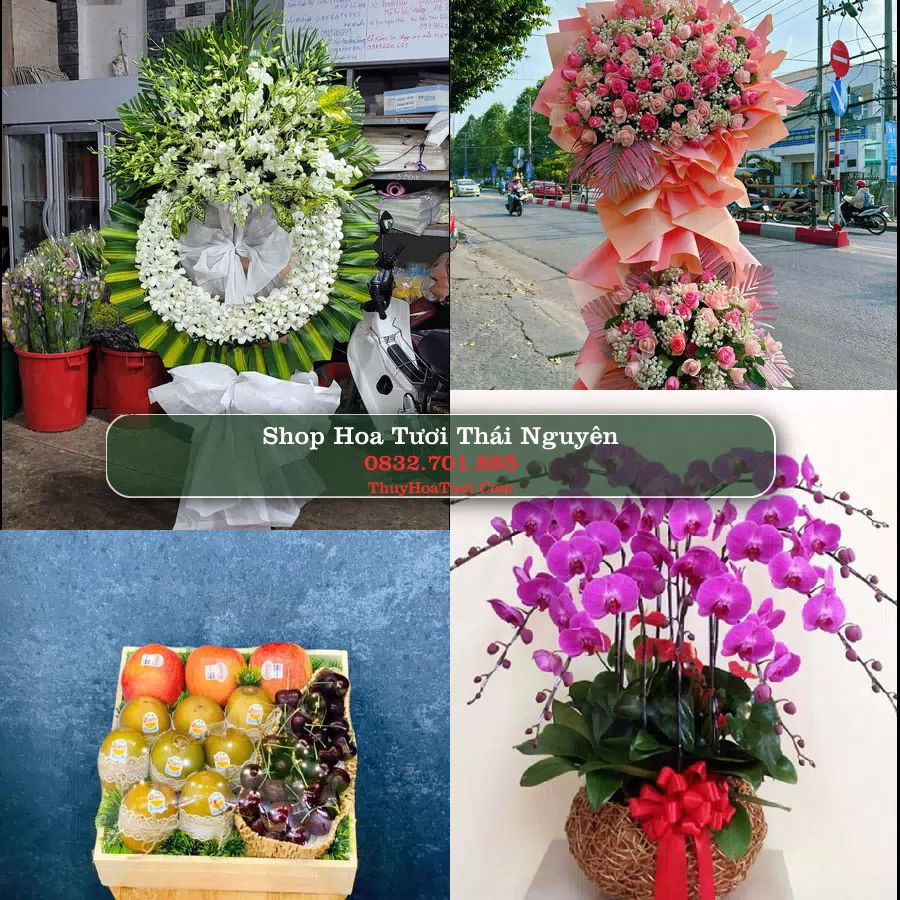 Shop Hoa Tươi Thái Nguyên
