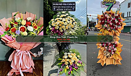 Shop Hoa Tươi Thanh Ba - Huyện Thanh Ba (Cũ)