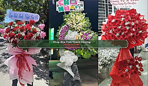 Shop Hoa Tươi Thanh Chương - Huyện Thanh Chương (Cũ)