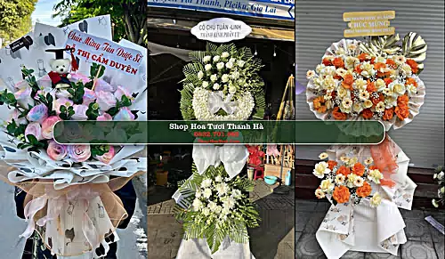 Shop Hoa Tươi Thanh Hà - Huyện Thanh Hà (Cũ)