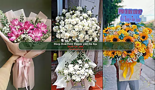 Shop Hoa Tươi Thành phố Bà Rịa - Bà Rịa - Vũng Tàu (Cũ)