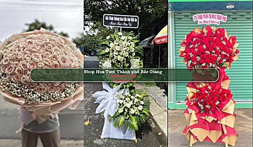 Shop Hoa Tươi Thành phố Bắc Giang - Bắc Giang (Cũ)