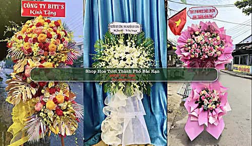 Shop Hoa Tươi Thành Phố Bắc Kạn - Bắc Kạn (Cũ)