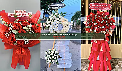 Shop Hoa Tươi Thành phố Bảo Lộc - Lâm Đồng (Cũ)