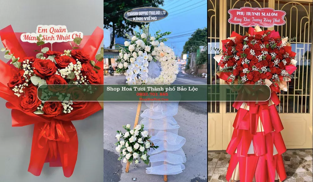 Shop Hoa Tươi Thành phố Bảo Lộc - Lâm Đồng (Cũ)