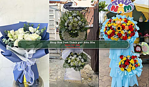 Shop Hoa Tươi Thành phố Biên Hòa - Đồng Nai (Cũ)