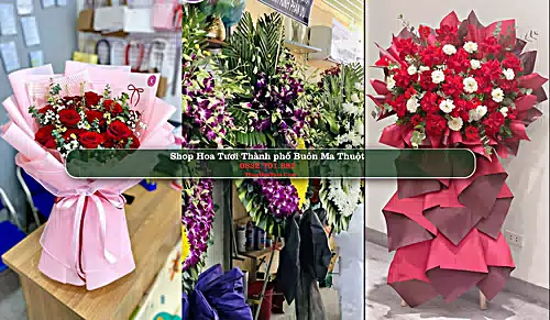 Shop Hoa Tươi Thành phố Buôn Ma Thuột - Đắk Lắk (Cũ)