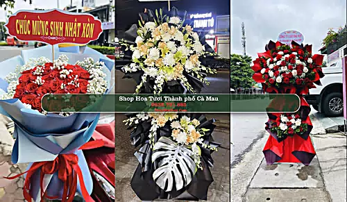 Shop Hoa Tươi Thành phố Cà Mau - Cà Mau (Cũ)