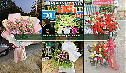 Shop Hoa Tươi Thành phố Cẩm Phả - Quảng Ninh (Cũ)