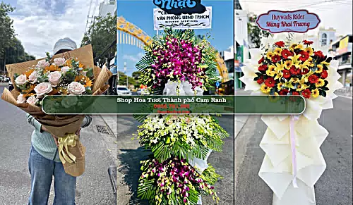 Shop Hoa Tươi Thành phố Cam Ranh - Khánh Hòa (Cũ)