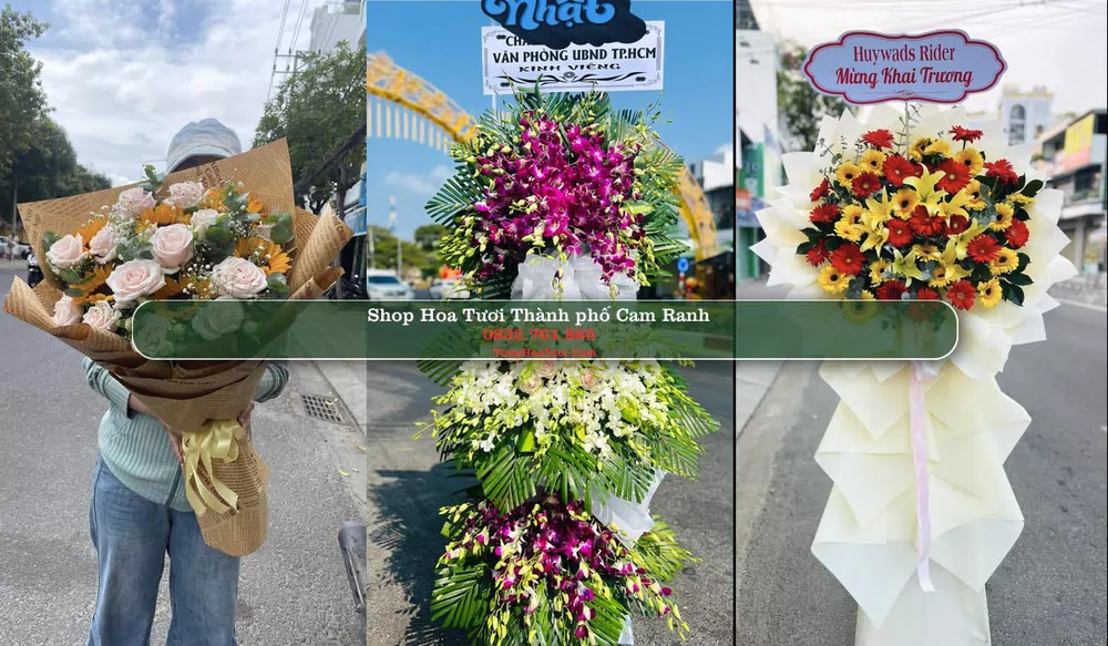 Shop Hoa Tươi Thành phố Cam Ranh - Khánh Hòa (Cũ)