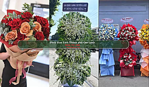 Shop Hoa Tươi Thành phố Cao Lãnh - Đồng Tháp (Cũ)