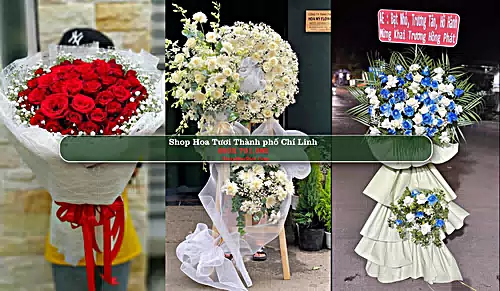 Shop Hoa Tươi Thành phố Chí Linh - Hải Dương (Cũ)