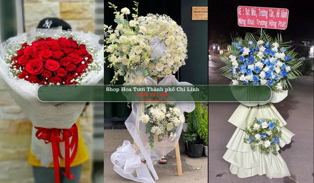 Shop Hoa Tươi Thành phố Chí Linh - Hải Dương (Cũ)