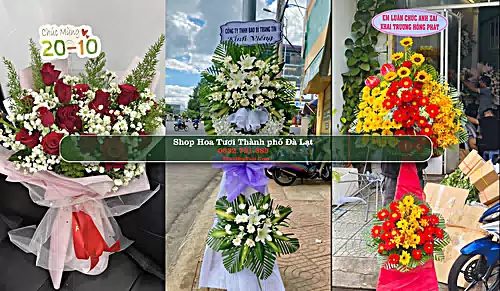 Shop Hoa Tươi Thành phố Đà Lạt - Lâm Đồng (Cũ)