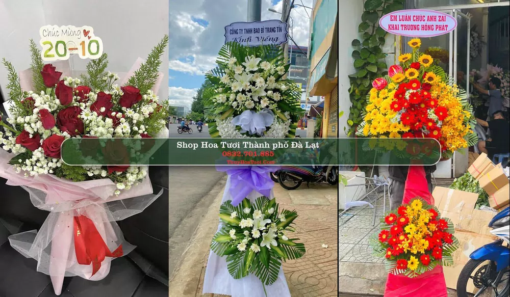 Shop Hoa Tươi Thành phố Đà Lạt - Lâm Đồng (Cũ)