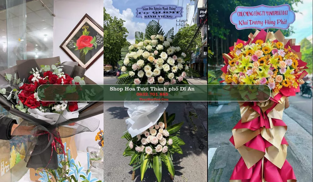 Shop Hoa Tươi Thành phố Dĩ An - Bình Dương (Cũ)
