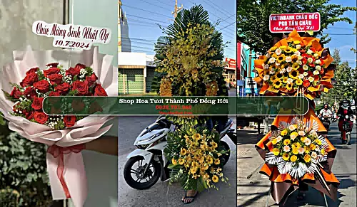 Shop Hoa Tươi Thành Phố Đồng Hới - Quảng Bình (Cũ)