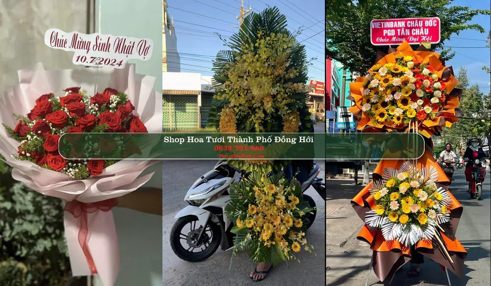 Shop Hoa Tươi Thành Phố Đồng Hới - Quảng Bình (Cũ)