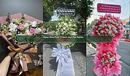 Shop Hoa Tươi Thành phố Gia Nghĩa - Đắk Nông (Cũ)