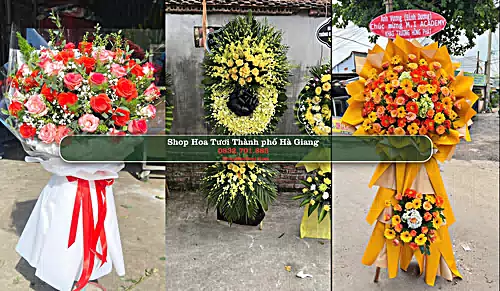 Shop Hoa Tươi Thành phố Hà Giang - Hà Giang (Cũ)
