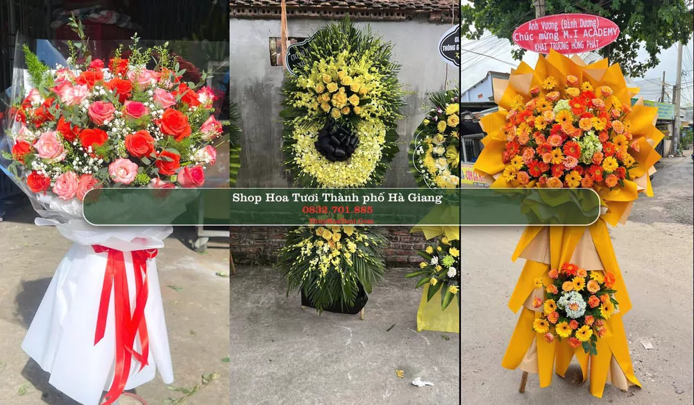 Shop Hoa Tươi Thành phố Hà Giang - Hà Giang (Cũ)