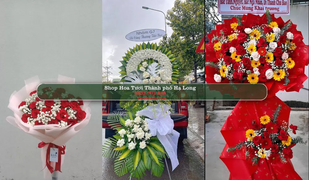 Shop Hoa Tươi Thành phố Hạ Long - Quảng Ninh (Cũ)