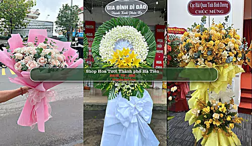 Shop Hoa Tươi Thành phố Hà Tiên - Kiên Giang (Cũ)