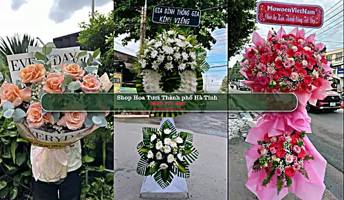 Shop Hoa Tươi Thành phố Hà Tĩnh - Hà Tĩnh (Cũ)