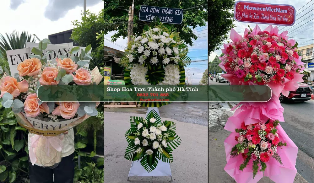 Shop Hoa Tươi Thành phố Hà Tĩnh - Hà Tĩnh (Cũ)