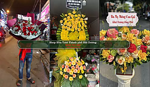 Shop Hoa Tươi Thành phố Hải Dương - Hải Dương (Cũ)