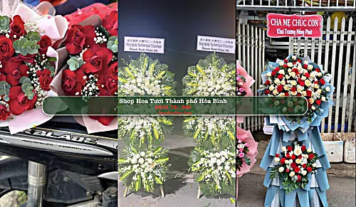 Shop Hoa Tươi Thành phố Hòa Bình - Hoà Bình (Cũ)