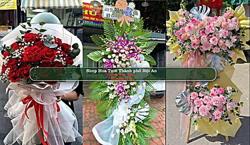 Shop Hoa Tươi Thành phố Hội An - Quảng Nam (Cũ)