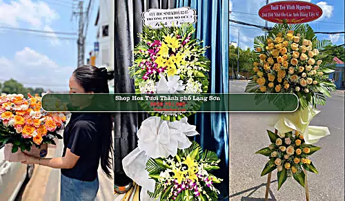 Shop Hoa Tươi Thành phố Lạng Sơn - Lạng Sơn (Cũ)
