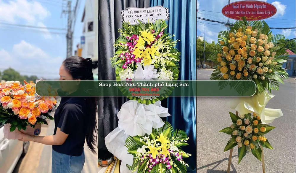 Shop Hoa Tươi Thành phố Lạng Sơn - Lạng Sơn (Cũ)